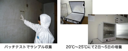 バッチテストでサンプル収集-->20℃〜25℃にて2日〜5日の培養